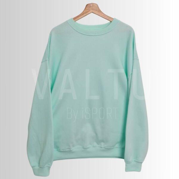 Buzo Liso Unisex Menta BUZOS, CHOMPAS Y CHAQUETAS Buzo liso Unisex Valtu By Isport ROPA-DEPORTIVA 1080 X 1080